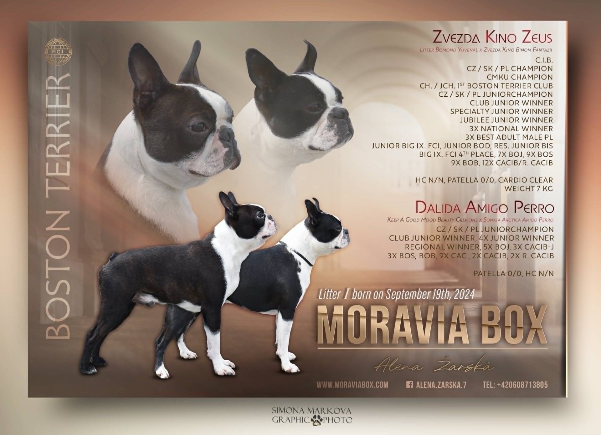 Moravia Box
